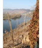 2012 Erdener Prälat Grosses Gewächs, Schmitges, Mosel