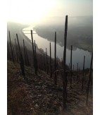 2019 Riesling Vom Berg, halvtør, Schmitges, Mosel