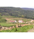 2018 Valpolicella Classico, Lena di Mezzo