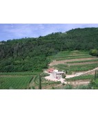 2017 Valpolicella Classico Superiore, Lena di Mezzo