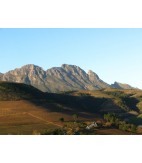 2013 Camino Africana Cabernet Franc, Stellenbosch, South Africa