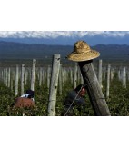 2017 Gran Malbec, Alto Agrelo, Pulenta Estate