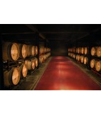 2017 Gran Malbec, Alto Agrelo, Pulenta Estate