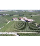 2019 Bardolino Chiaretto, Monte del Fra