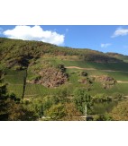 2017 Erdener Treppchen Grosses Gewächs, Schmitges, Mosel