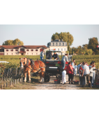 2007 Pontet Canet, Pauillac, 5ème cru classé