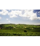 2013 Barolo "Bussia", La Bioca