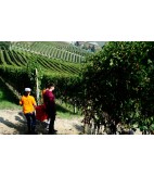 2013 Barolo "Bussia", La Bioca